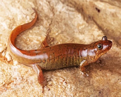 Brown Salamander Diamond Painting