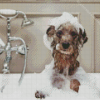 Dog Bathing Diamond Painting