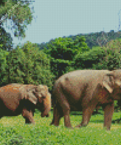 Elephants in Thailand Jungle Diamond Painting