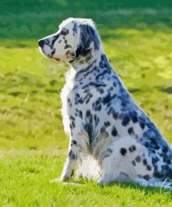 English Setter Diamond Painting