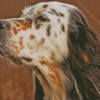 English Setter Head Side View Diamond Painting