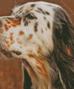 English Setter Head Side View Diamond Painting