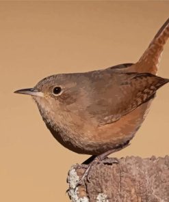 English Wren Diamond Painting