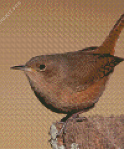 English Wren Diamond Painting