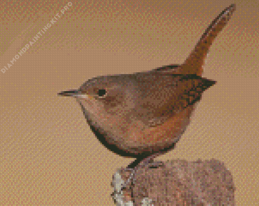 English Wren Diamond Painting