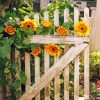 Garden Gate Sunflowers Diamond Painting