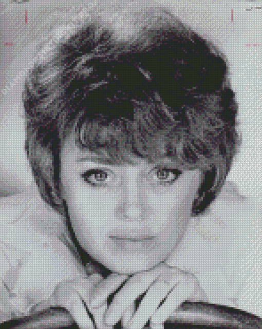 Rue Mcclanahan Diamond Painting