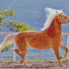 Haflinger Horse Diamond Painting