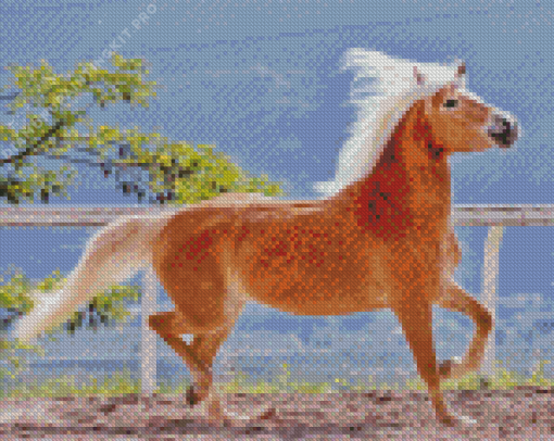 Haflinger Horse Diamond Painting