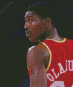 Hakeem Basketball Player Diamond Painting