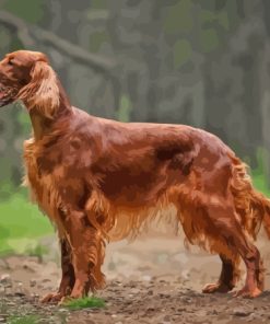 Irish Setter Brown Dog Diamond Painting