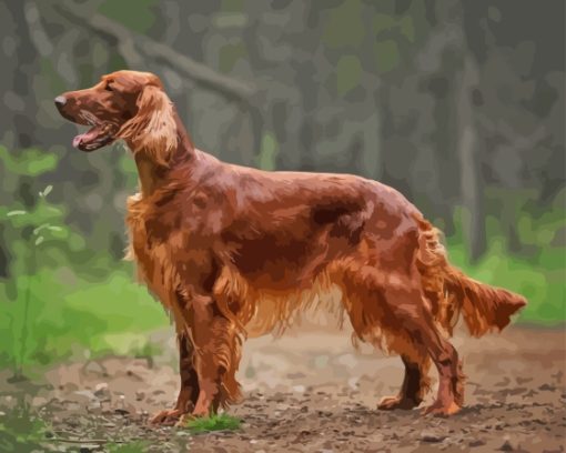 Irish Setter Brown Dog Diamond Painting