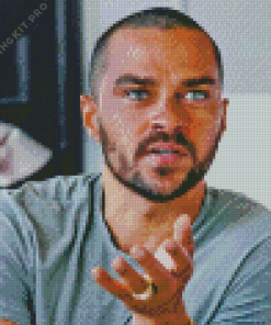 Jesse Williams Actor Diamond Painting