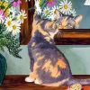 Kitten In The Mirror Diamond Painting