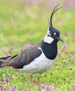 Lapwing Diamond Painting