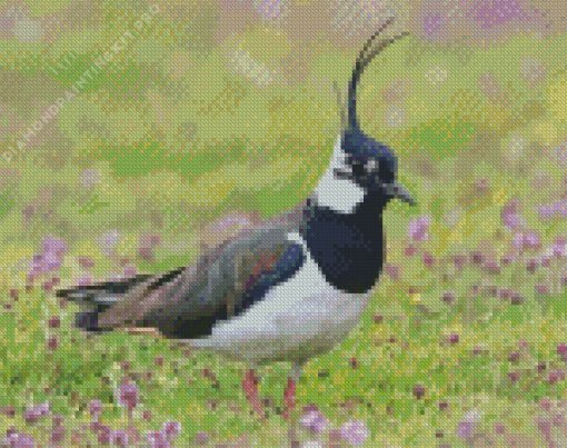 Lapwing Diamond Painting