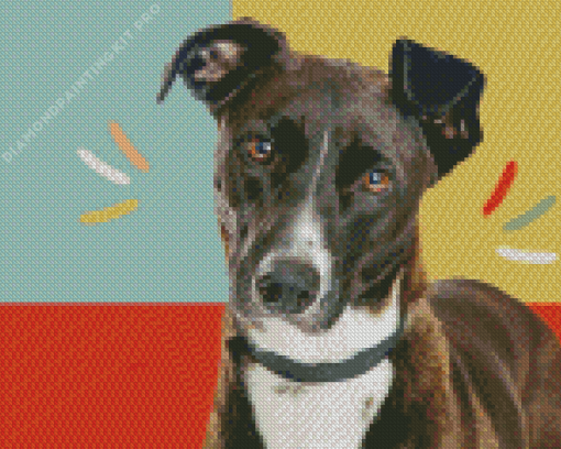 Mountain Cur Poster Diamond Painting