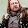 Ned Stark Character Diamond Painting