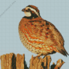 Northern Bobwhite Quail Diamond Painting