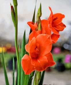 Orange Red Gladiolus Diamond Painting