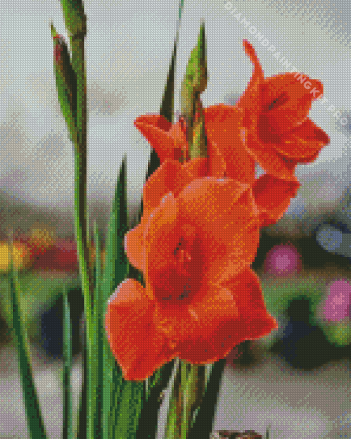 Orange Red Gladiolus Diamond Painting