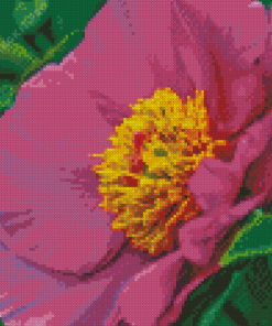 Peony Officinalis Diamond Painting