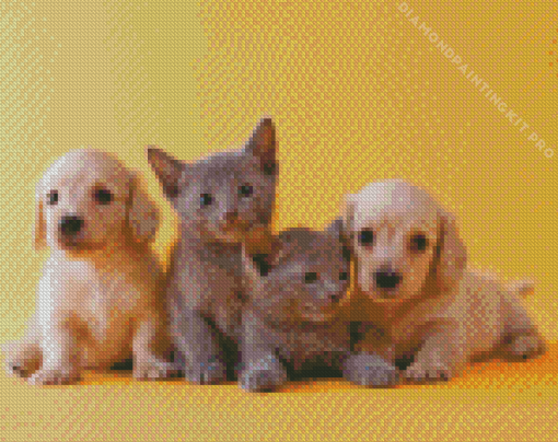 Puppies and Kittens Diamond Painting