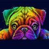 Rainbow Pug Art Diamond Painting