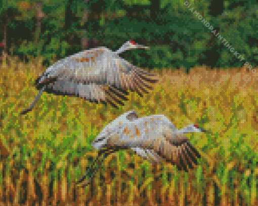 Sandhill Crane Flying Birds Diamond Painting