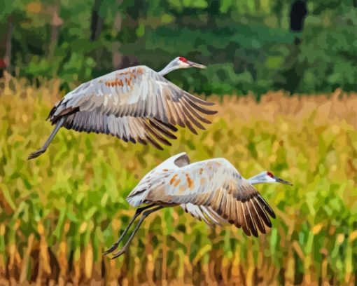 Sandhill Crane Flying Birds Diamond Painting