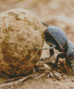 Scarab Beetle Rolling Dung Diamond Painting