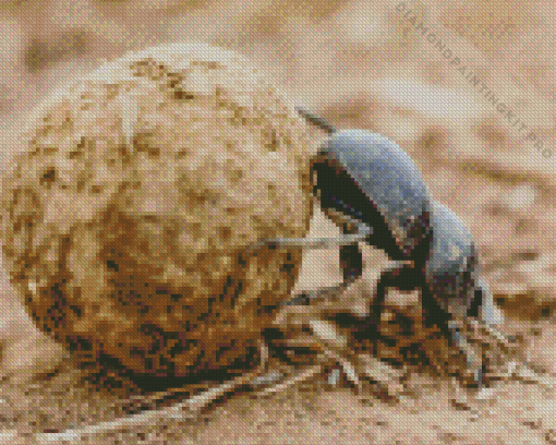 Scarab Beetle Rolling Dung Diamond Painting