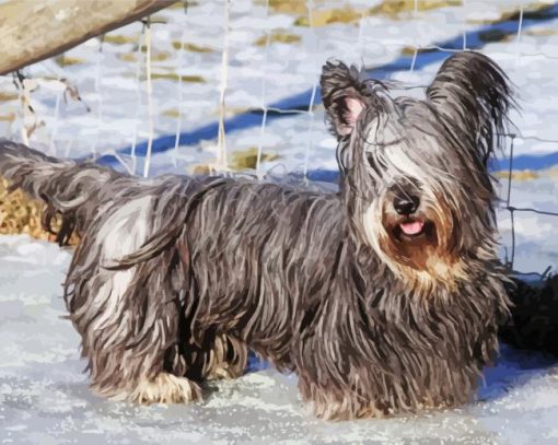 Skye Terrier in Snow Diamond Painting