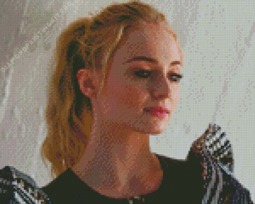 Sophie Turner Diamond Painting