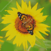 Sunflower Butterfly Diamond Painting