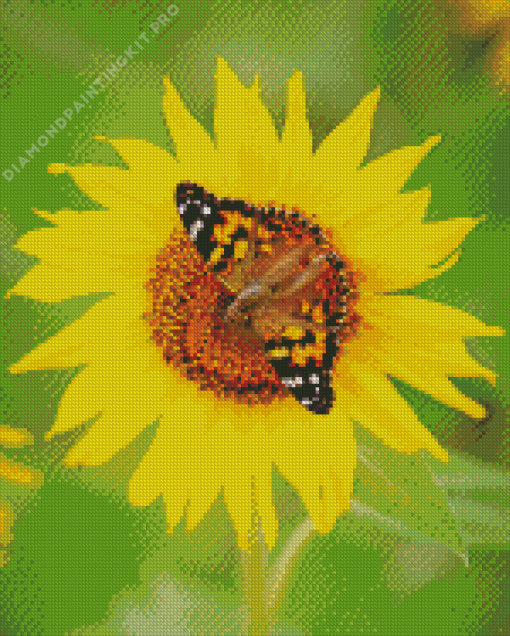 Sunflower Butterfly Diamond Painting