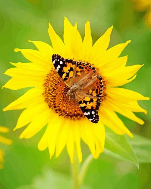 Sunflower Butterfly Diamond Painting