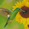 Sunflowers with Green Hummingbird Diamond Painting