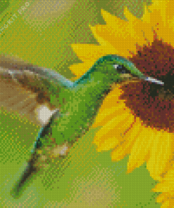 Sunflowers with Green Hummingbird Diamond Painting