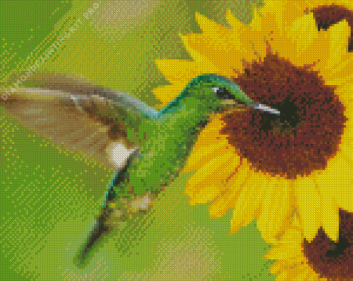 Sunflowers with Green Hummingbird Diamond Painting