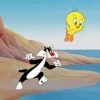 Tweety and Sylvester Cartoon Diamond Painting