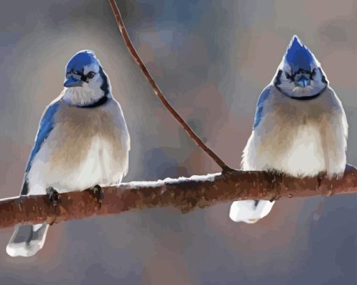 Two Blue Jay In Winter Diamond Painting