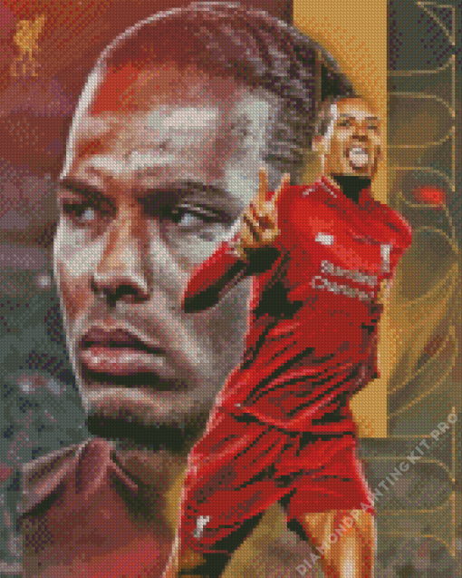 Liverpool Player Virgil Van Dijk Diamond Painting