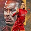 Liverpool Player Virgil Van Dijk Diamond Painting