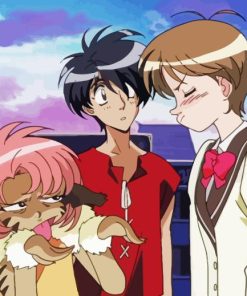 Vision of Escaflowne Diamond Painting