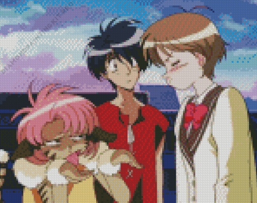 Vision of Escaflowne Diamond Painting