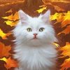 White Cat In Fall Diamond Painting