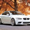 White BMW Car in Fall Diamond Painting