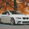 White BMW Car in Fall Diamond Painting