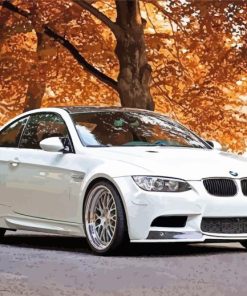 White BMW Car in Fall Diamond Painting